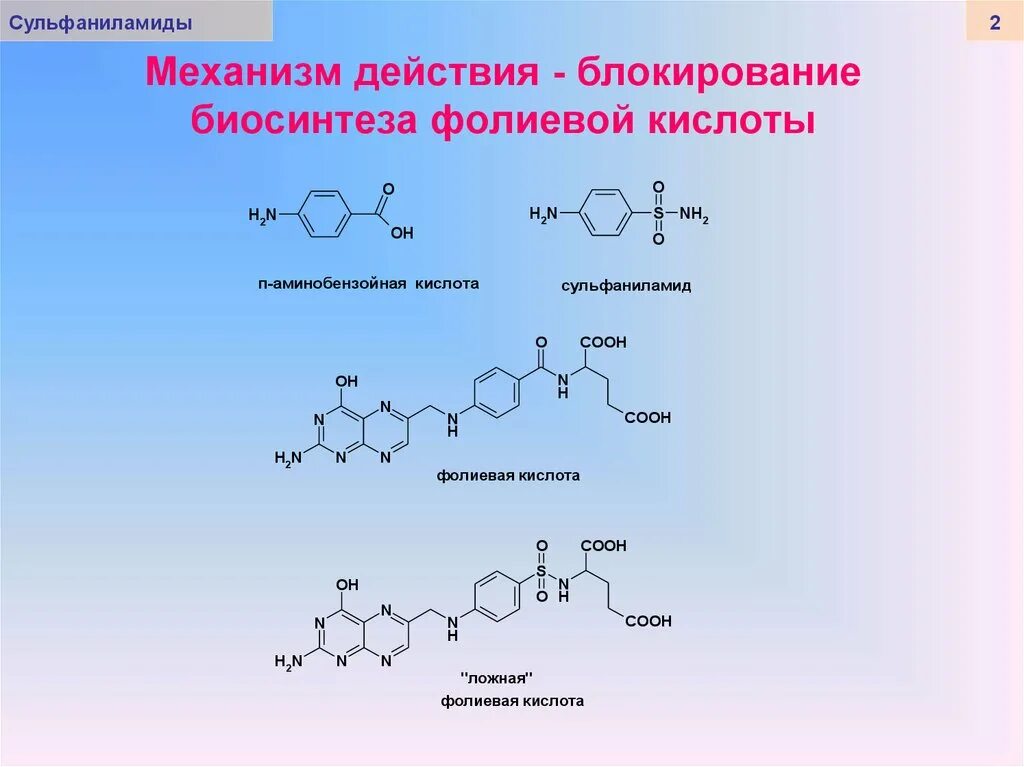 Общая формула сульфаниламидных препаратов. Механизм действия сульфаниламидных препаратов. Механизм действия фолиевой кислоты. Механизм антибактериального действия сульфаниламидных препаратов.