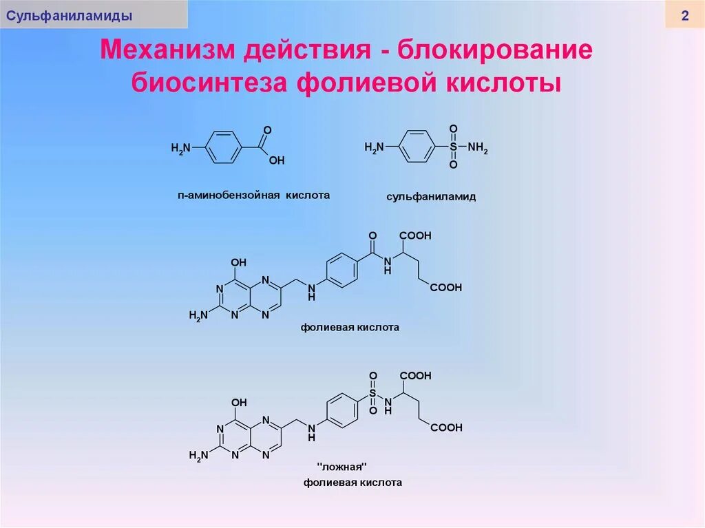 Синтез фолиевой кислоты. Общая формула сульфаниламидных препаратов. Механизм действия сульфаниламидных препаратов. Механизм действия фолиевой кислоты. Механизм антибактериального действия сульфаниламидных препаратов.