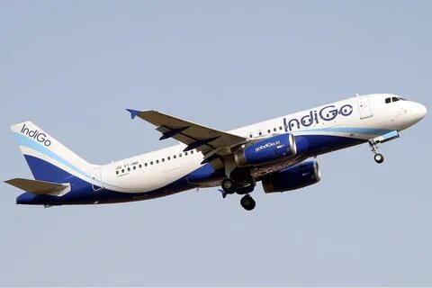 Indigo airlines