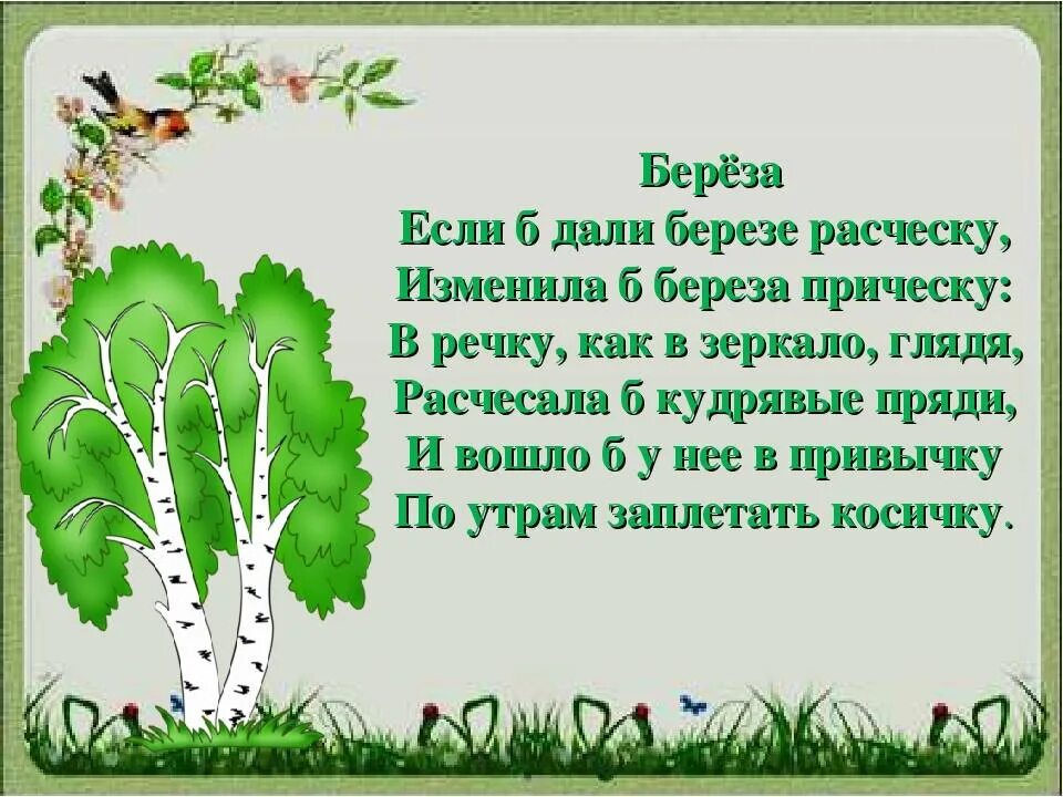 Русская березка стихотворение. Стих про березу для детей. Стих про берёзку для детей. Стихотворение про березу для детей. Детский стих про березку.