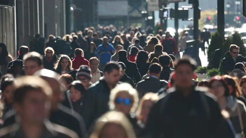 Crowded followed