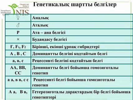 Бишінің жыныс мүшесі