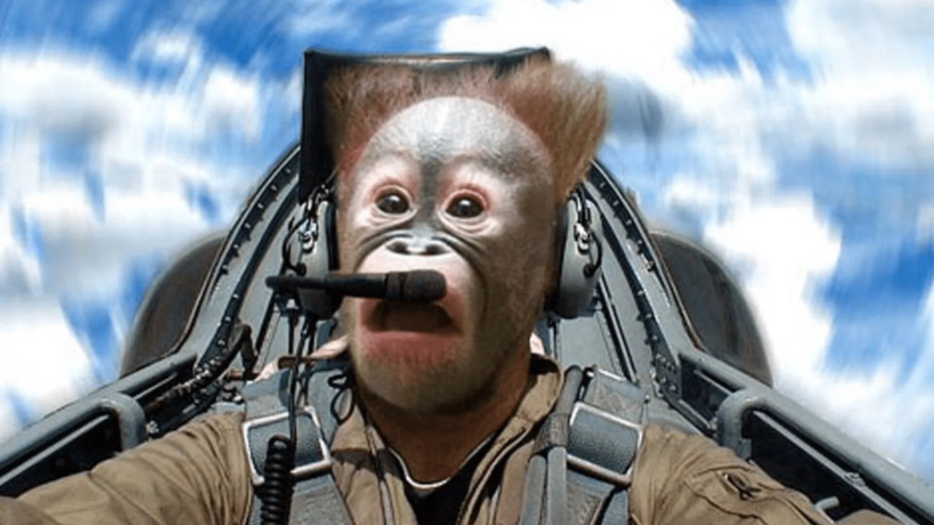 Летчик мем. Мемы про летчиков. Смешной летчик. Каламбур крутое пике дринкинс. Пилот мем.