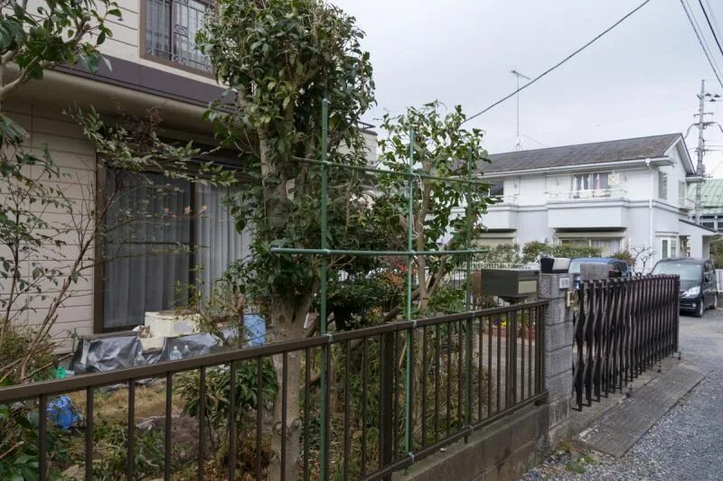 найти кота 4