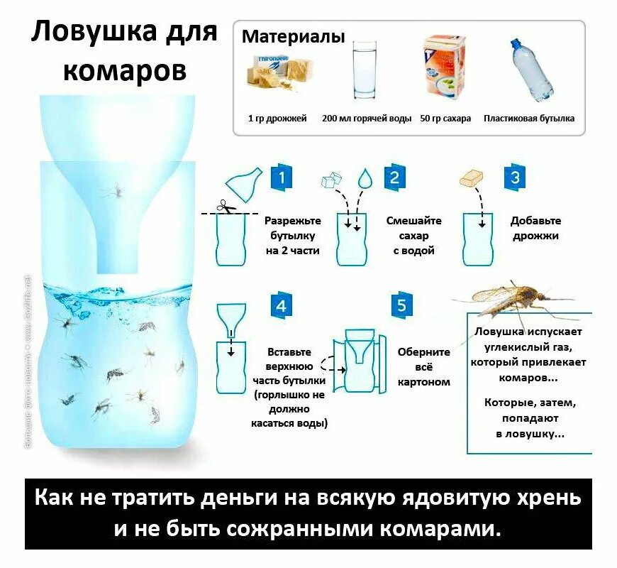 Избавиться от комариных. Избавиться от комариных