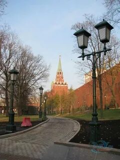 Александровский сад в честь