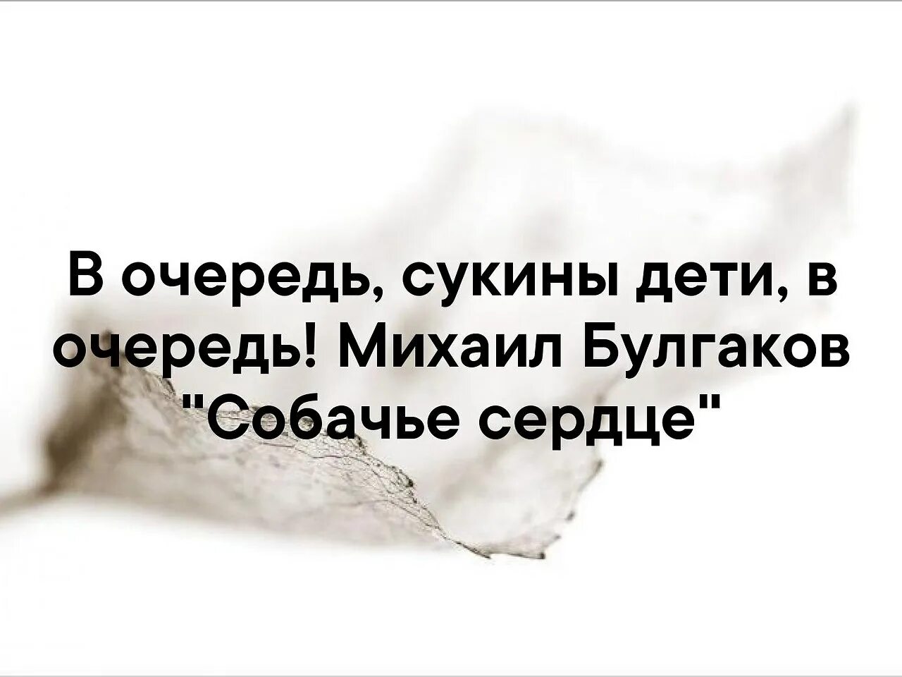 1 класс сукины текст. В очередь сукины дети. в очередь сукины дети цитата. в очередь сукины дети мем.