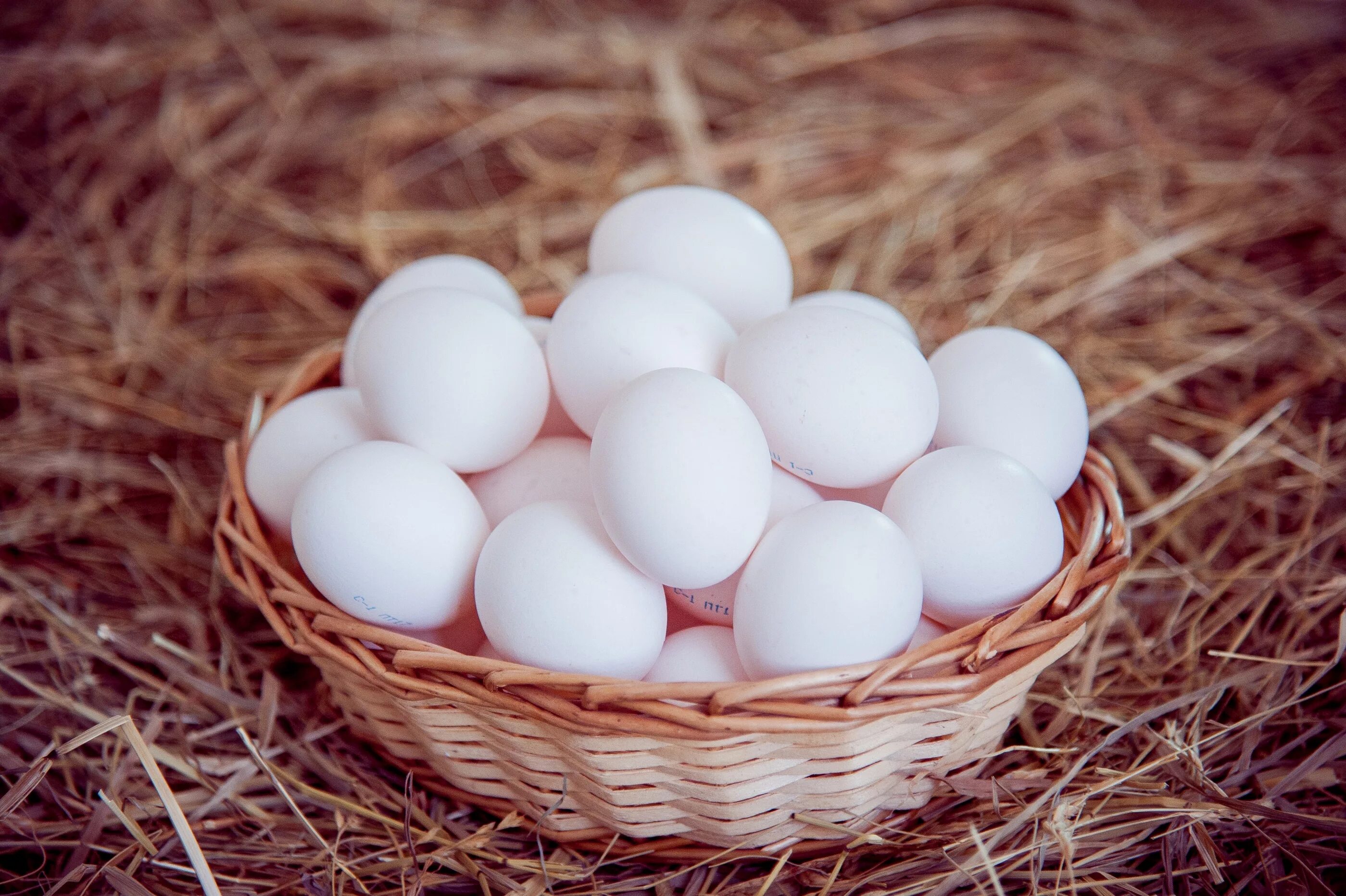 Яйца лучше купить. Диетические яйца. Яйцо столовое. Яйцо куриное белое. Яйцо куриное диетическое.