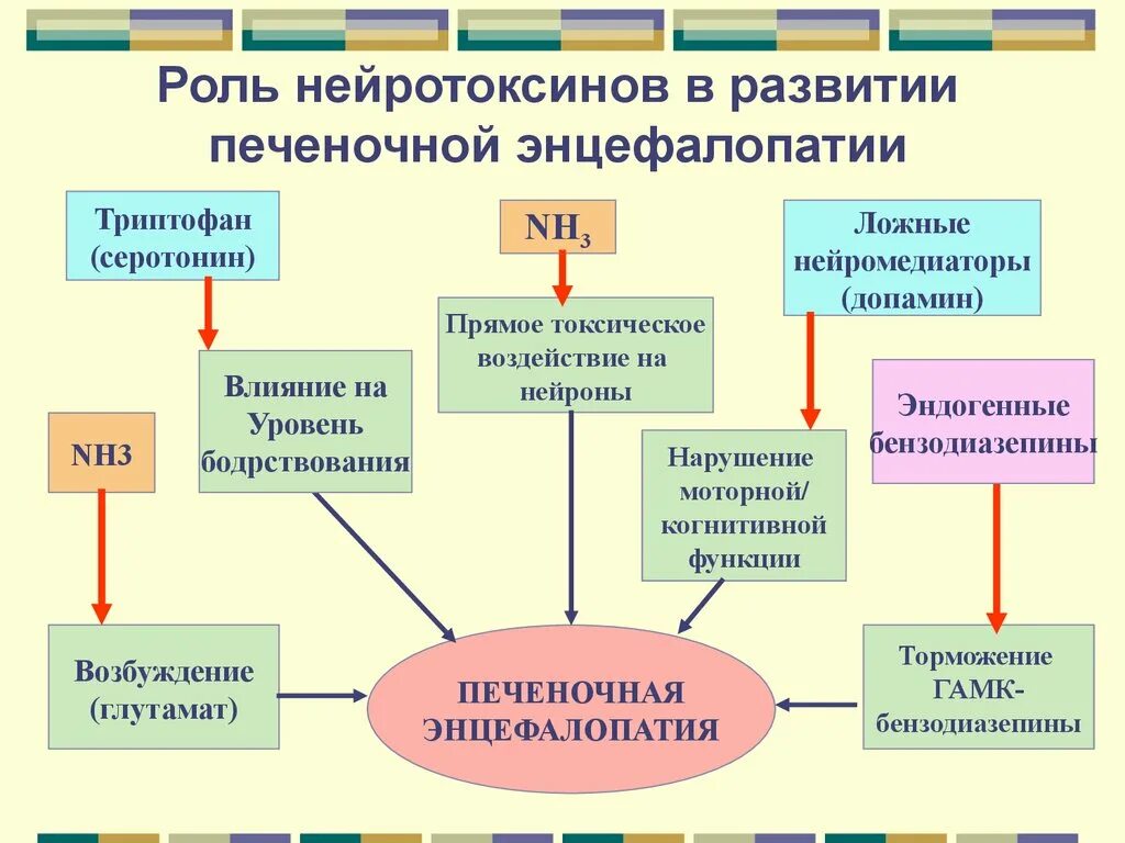 Лечение печеночной энцефалопатии. Печеночная энцефалопатия механизм развития. Патогенез печеночной энцефалопатии. Схема патогенеза печеночной энцефалопатии. Синдромы при развитии печеночной энцефалопатии.