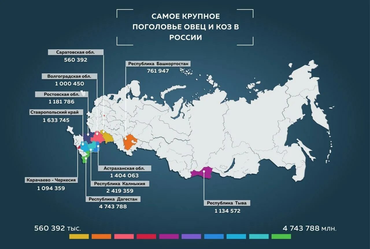 Страны по поголовью крупного. Поголовье овец в России. Овцеводство субъекты РФ. Овцеводство в России на карте. Районы овцеводства в России.