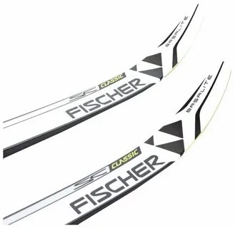 Fischer sc