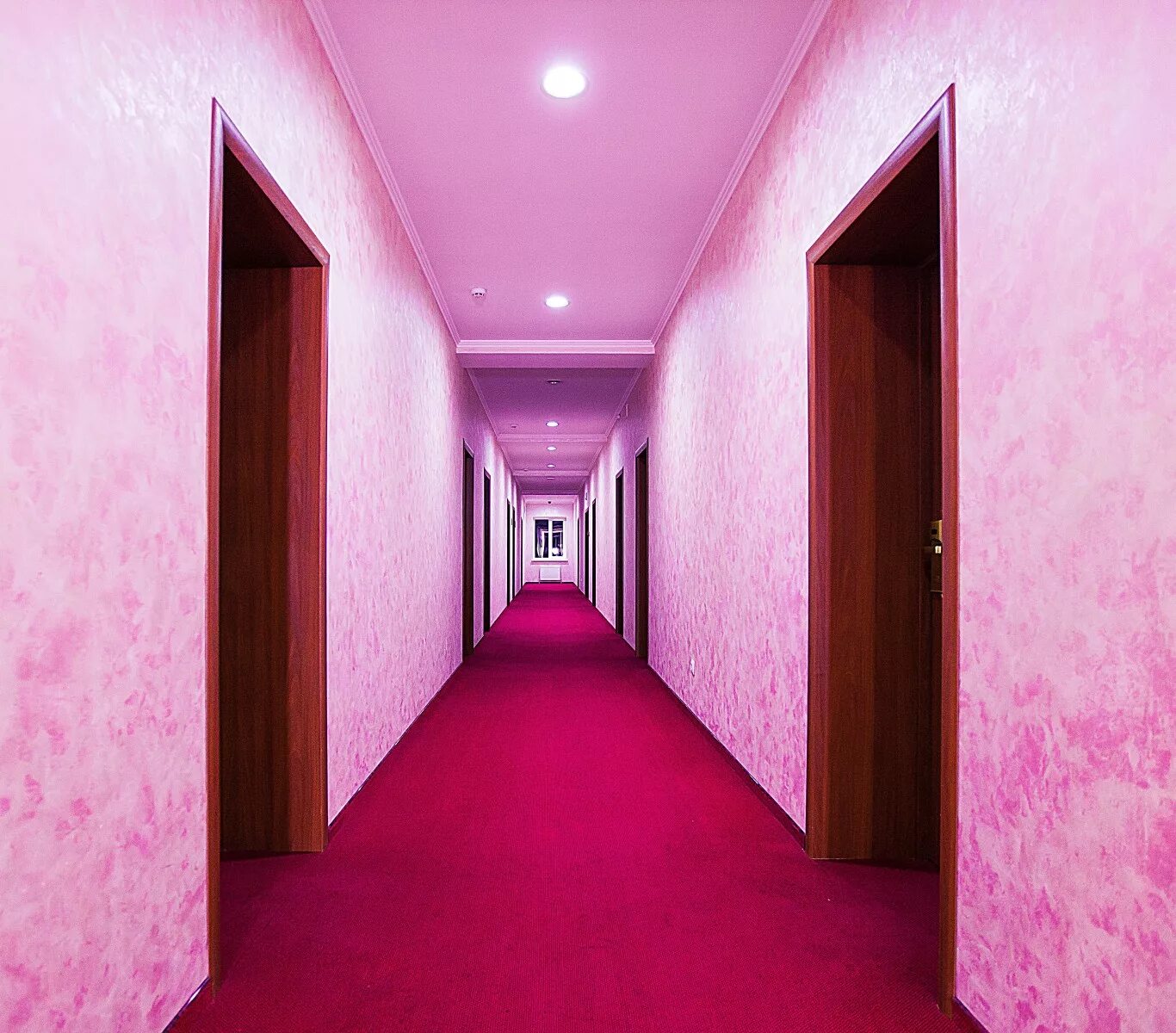 Козельск область гостиницы. Гостиница карс козельск. Гостевой дом козельск ул чкалова 90 козельск. Гостевой дом козельск. Козельск область гостиницы.