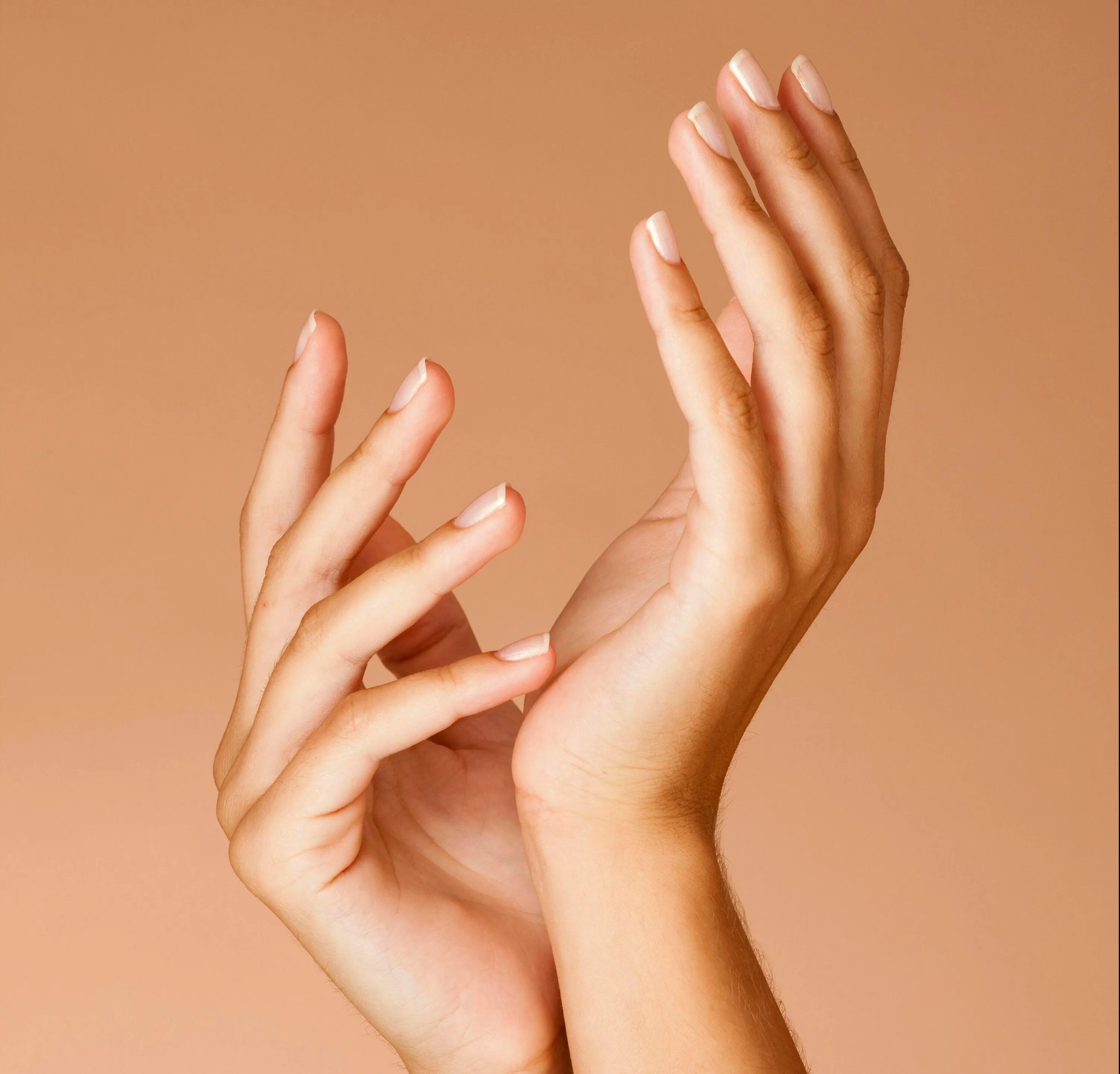 Пальцы женщин красивые. Женская рука. Красивые руки. Красивые женские руки. Изящные руки.
