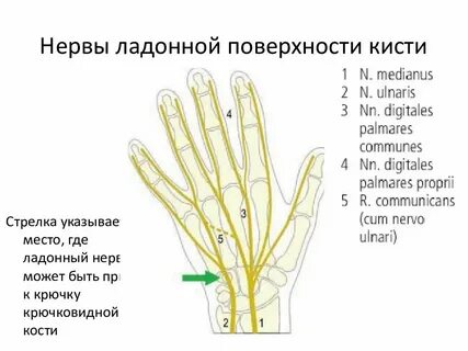 Пальцев какое окончание