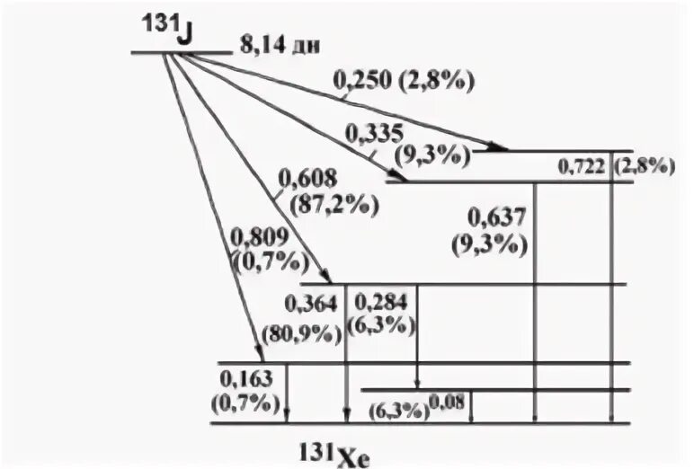 Распад натрия. I131 схема распада. Схема распада RN 219. Распад йода 131 схема. Схема распада натрия 22.