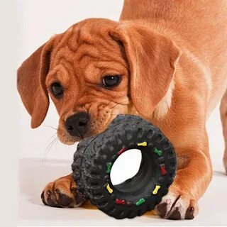 Pet toy