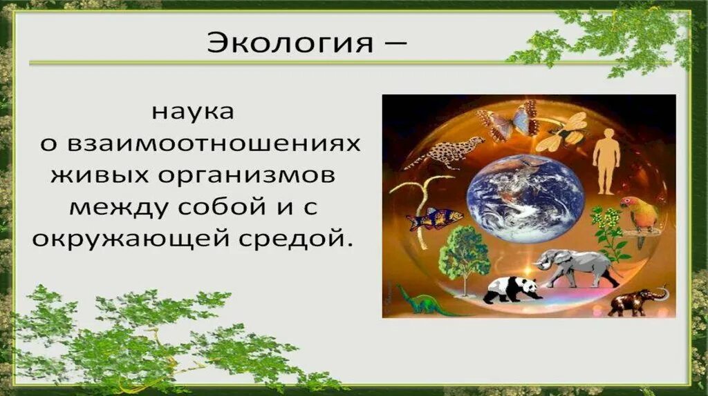 Егэ экология это наука о взаимодействии живых. Экология наука о взаимоотношениях живых организмов. Экология это наука. Экология это наука о взаимодействии живых организмов. Экологии это наука о взаимосвязи.