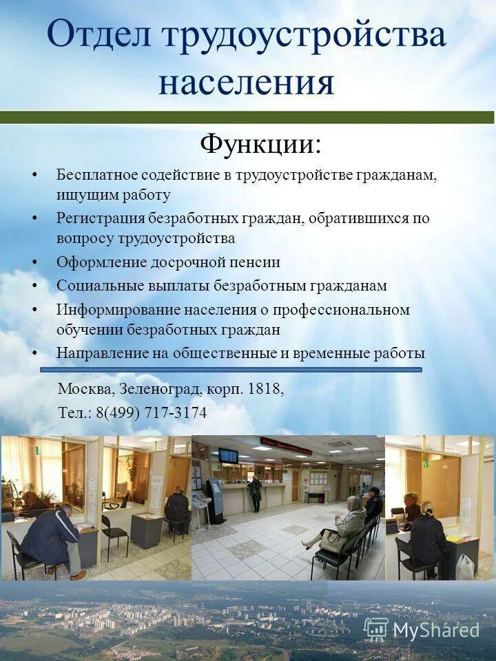 Содействие в информирование. Информирование застрахованных лиц. Услуги предоставляемые центром занятости. Содействие в информирование. Содействие в информирование.