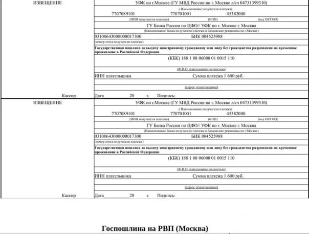 Суд московской области реквизиты госпошлины. Государственная пошлина за регистрацию. Квитанция об оплате госпошлины на ВНЖ. Реквизиты РВП госпошлина. Госпошлина на ВНЖ.