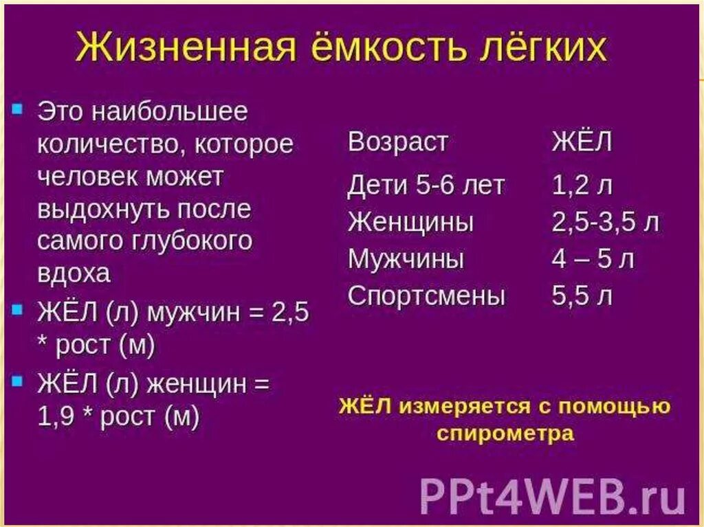 Жел норма мужчины