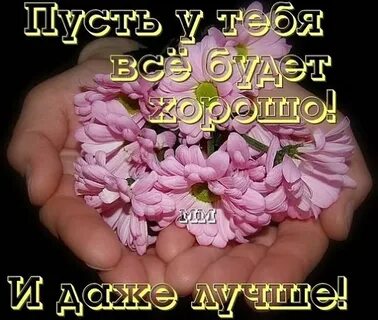 Желаю тебе из тысячи
