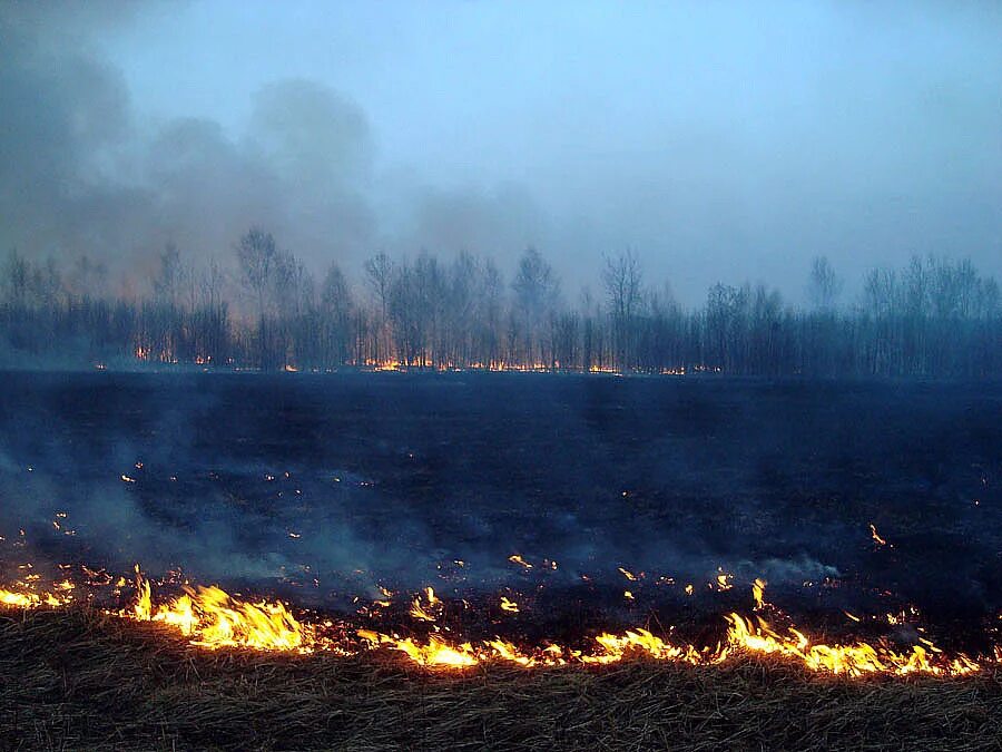 Сжигание полей. Поле после пожара. Сожженное поле. Земля после пожара. Сгоревшее поле.