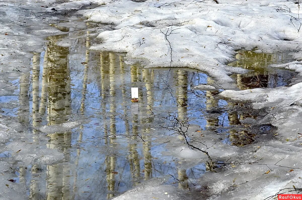 прошумел ветер донес серебряные брызги дождя. разбор слова прошумел (2). прошумел ветер донес серебряные брызги дождя. синтаксический разбор над полем. дождик в москве.