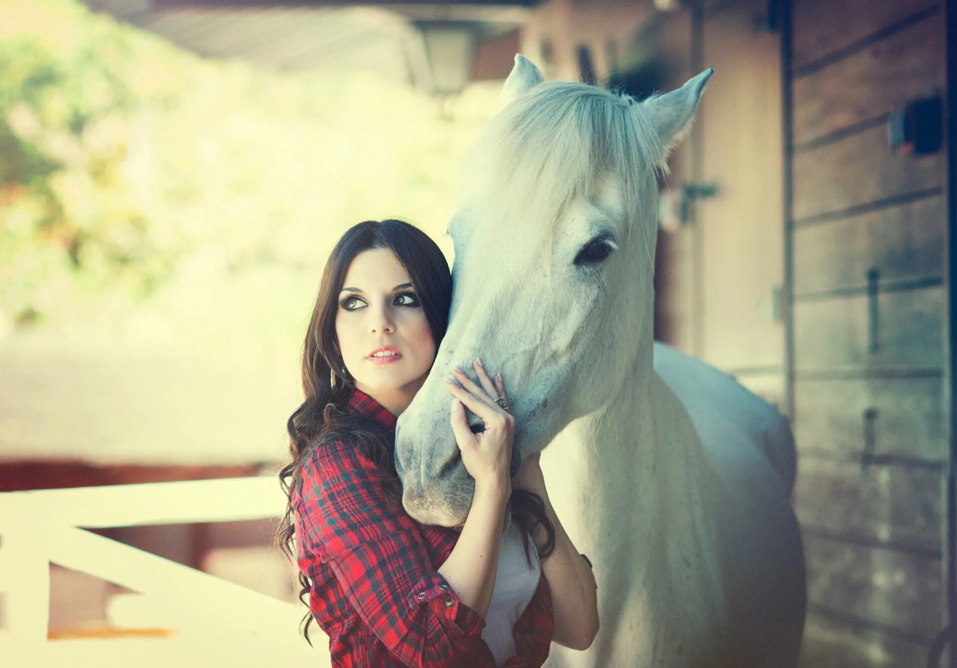 Девушка с лошадью видео. Девушка с лошадью. Девушка и белая лошадь. Девушка рядом с лошадью. Девочка на лошади.