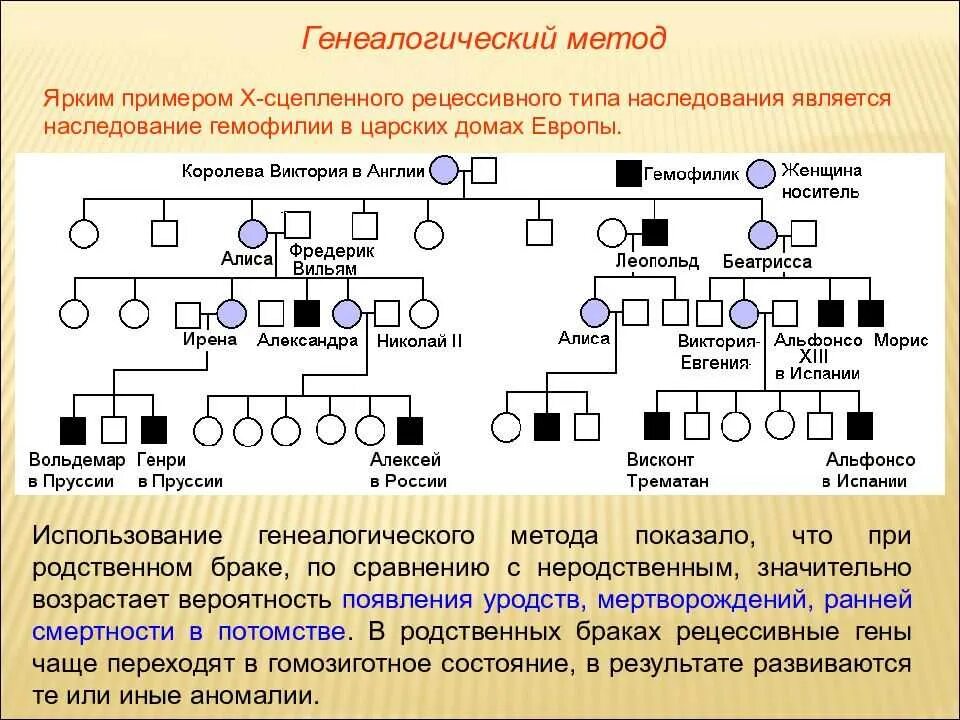 Рецессивный ген характеристика. Генеалогический метод наследование гемофилии. родословная с заболеваниями по генетике. наследование гемофилии по родословной. х-сцепленный, рецессивный тип наследования генеалогическое.