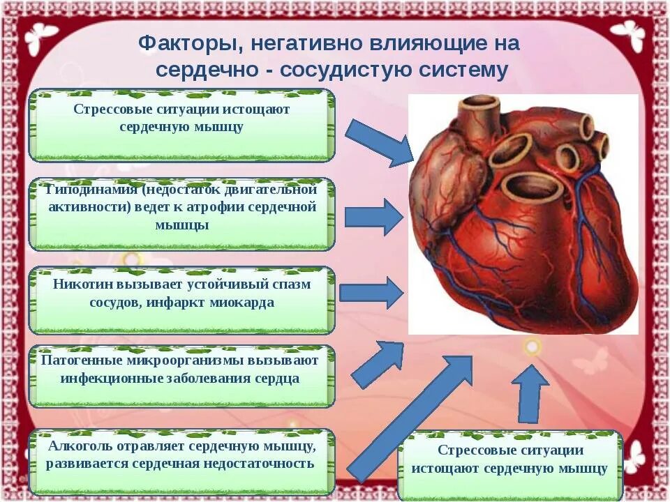 Сердечные болезни. Схема причины сердечно сосудистых заболеваний. Патология сердечно сосудистой системы схема. Классификация видов заболевания сердца. Таблица по теме заболевания сердечно сосудистой системы.