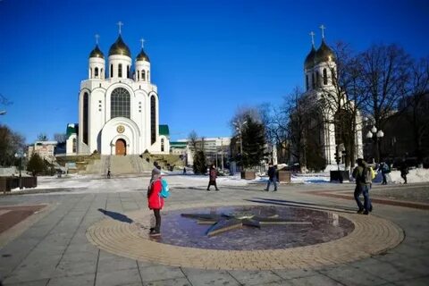 Погода в калининграде в ноябре 2024 какая