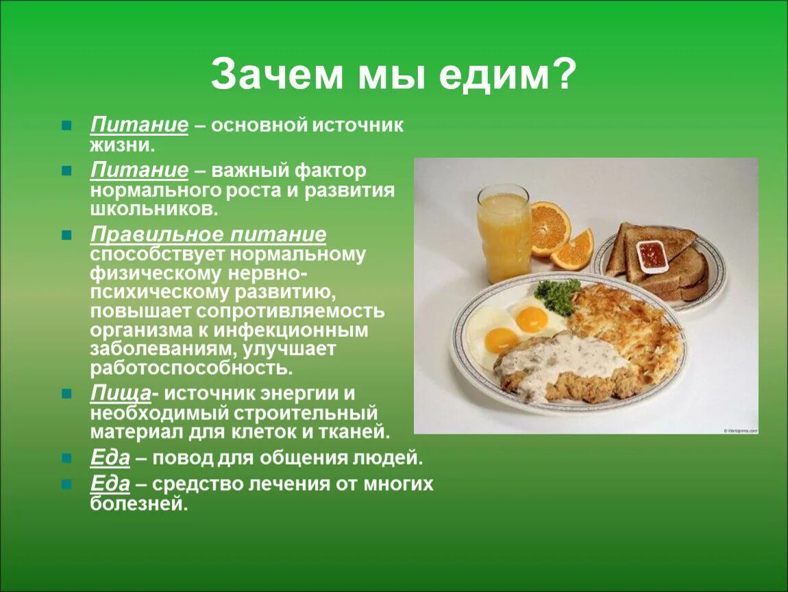 Мы едим. Для чего надо правильно питаться. Зачем нам правильно питаться. Зачем нужно правильное питание. Почему важно правильное питание.