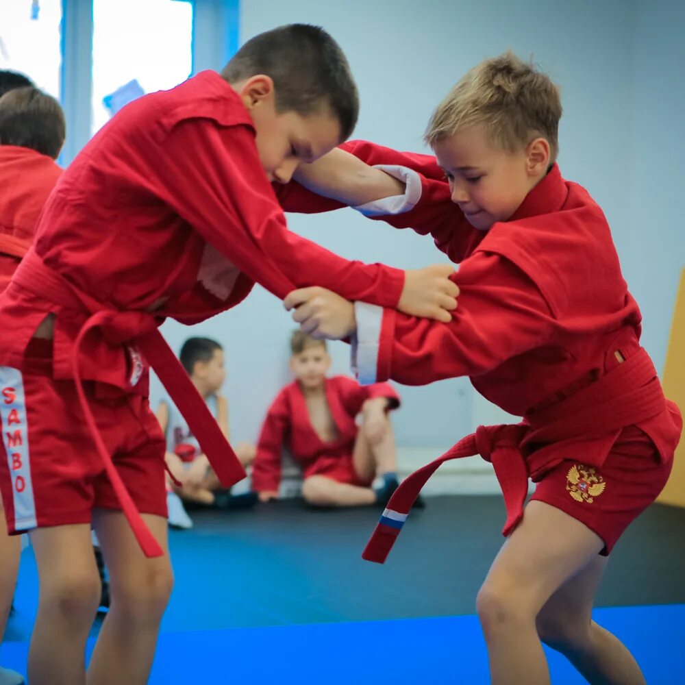 Самбо в школу. Занятия самбо. Самбо упражнения. Самбо в школу. Уроки самбо.