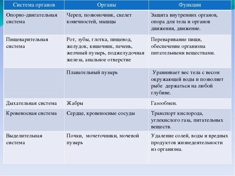 Органы рыб и их функции