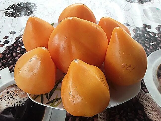 томат сердце пустыни. томат сердце дездемоны. томат сердце пустыни характеристика и описание. томат ослиные уши сибирский сад. сердце дездемоны томат отзывы фото.