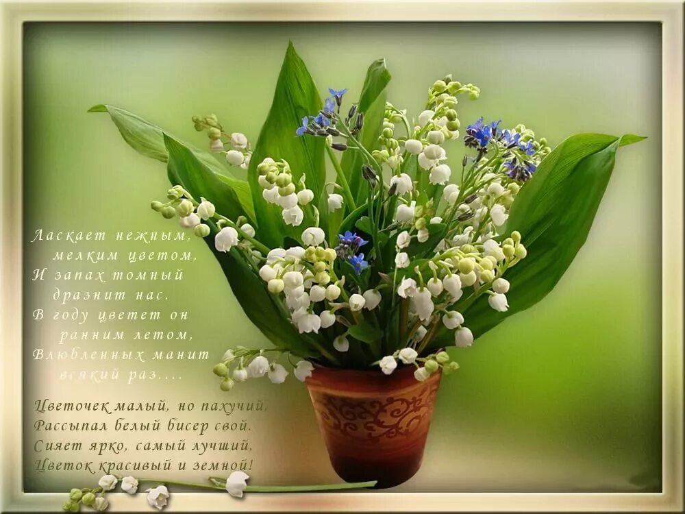 С днем рождения женщине весной открытки. Красивый весенний букет. Букет ландышей. Красивый букет весенних цветов. Поздравительная открытка с ландышами.