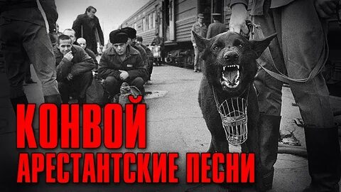 Яд добра конвой