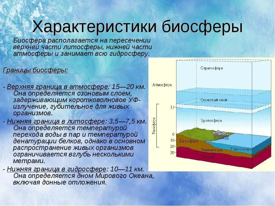 Функции почв в биосфере