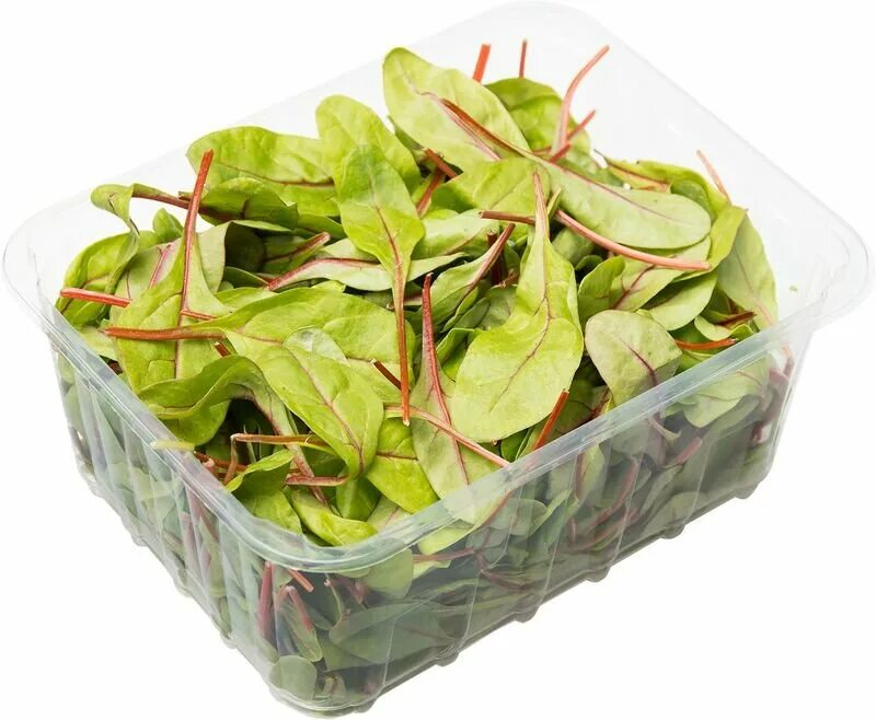 Купить салаты с доставкой. Мангольд микрозелень. Мангольд 125 гр. Салат мангольд зелёный 125 г. Салат листовой мангольд зеленый.
