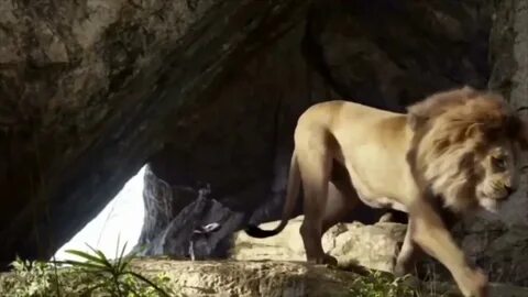 Пизда порносындағы дәретхана щеткасы