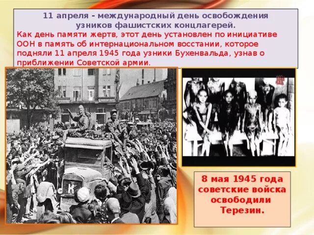 Концлагерь жертв холокоста. День памяти освобождения узников концлагерей. Памяти узников концлагерей посвящается. Освобождение узников концлагерей. Жертвы концлагерей день.