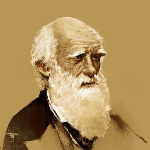 дарвин основатель эволюционного учения. дарвин является основоположником. чарльз дарвин презентация. чарльз роберт дарвин теория. чарльз дарвин 1809-1882 основоположников эволюционного учения.