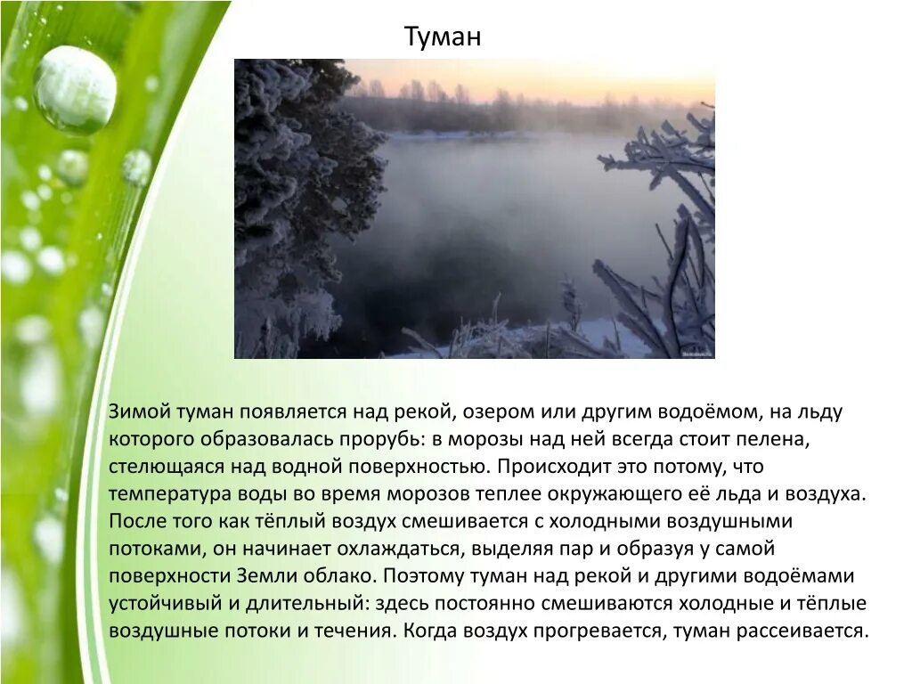 Почему бывает туман. Когда образуется туман. почему образуется туман. почему появляется туман. почему образуется туман осенью.