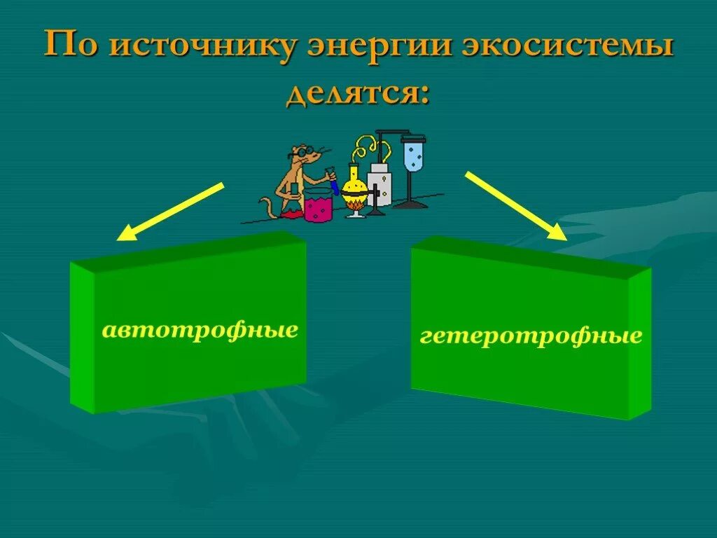 Гетеротрофная антропогенная экосистема. Схема потока энергии в экосистеме. Источник энергии биогеоценоза. Источник энергии биогеоценоза. Поток энергии в экосистемах.