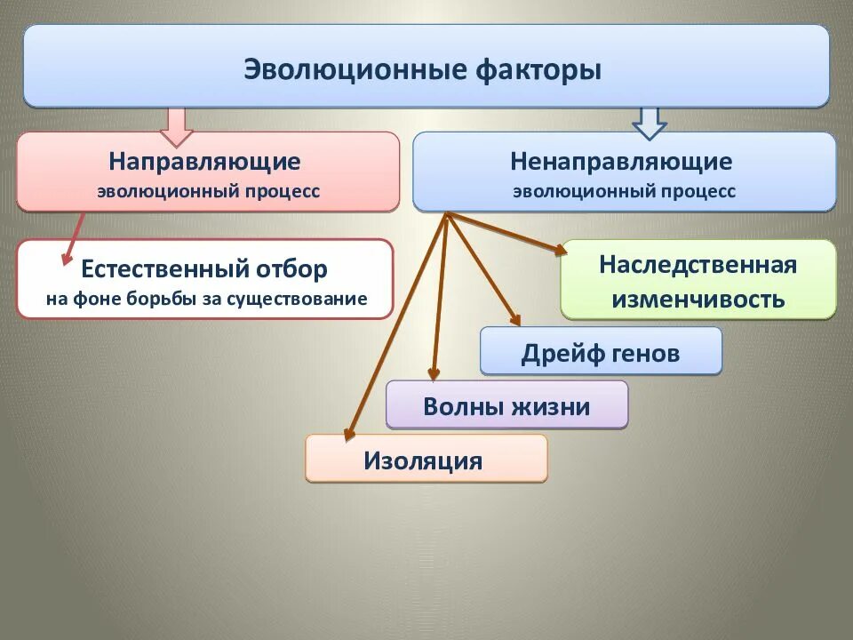 Элементарные эволюционные факторы. Элементарные эволюционные факторы 9 класс таблица. Элементарные эволюционные факторы 9 класс схема. Элементарные факторы эволюции это в биологии.