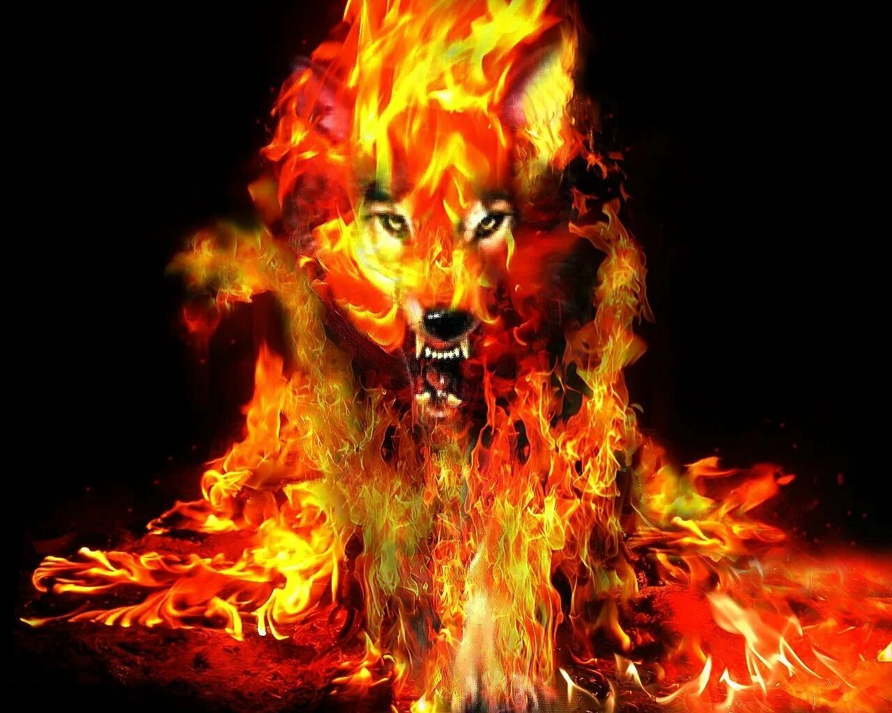 Огня задора. Огненный волк Пандемониум. Огненная собака. Волк в огне. Пламенный волк.
