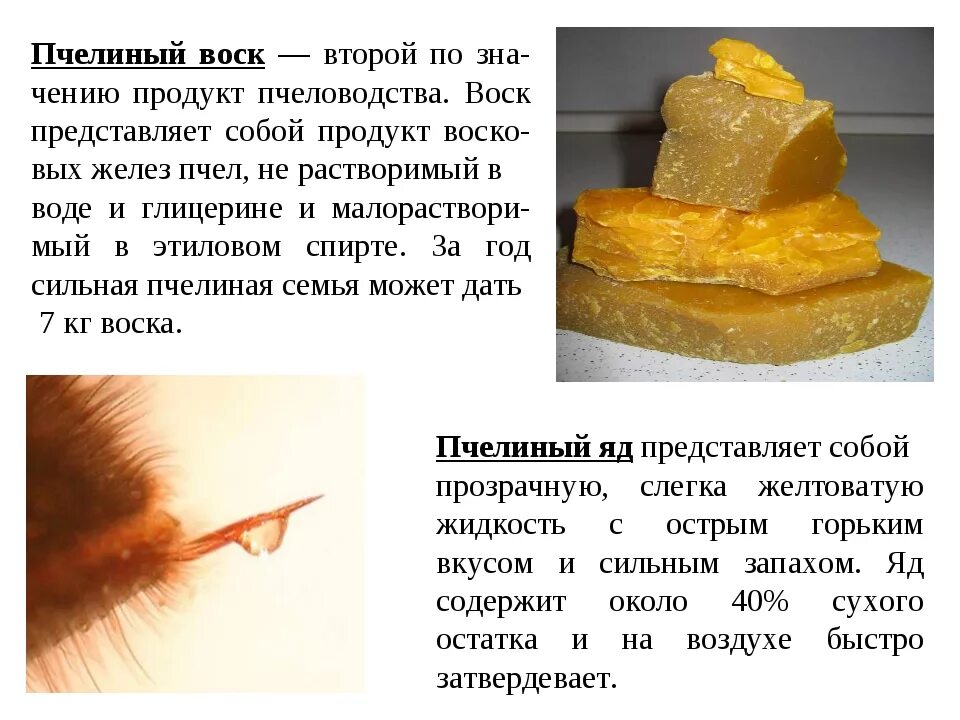 Воск сера. Состав пчелиного воска. пчелиный воск состоит из. презентация воск пчелиный. воск описание.