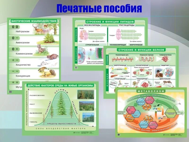 Материал на урок биологии. Печатные наглядные пособия. Пособия для кабинета биологии. Оформление кабинета биологии. Кабинет биологии презентация.