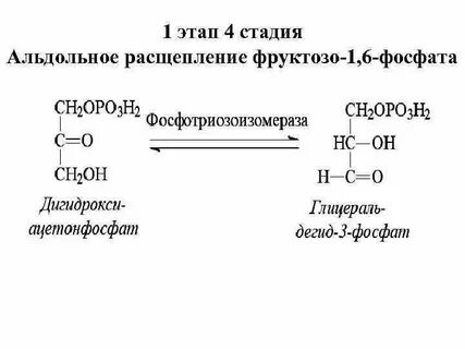 Расщепление фруктозы