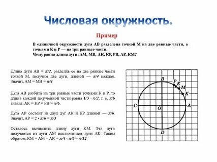 Числовая окружность задания